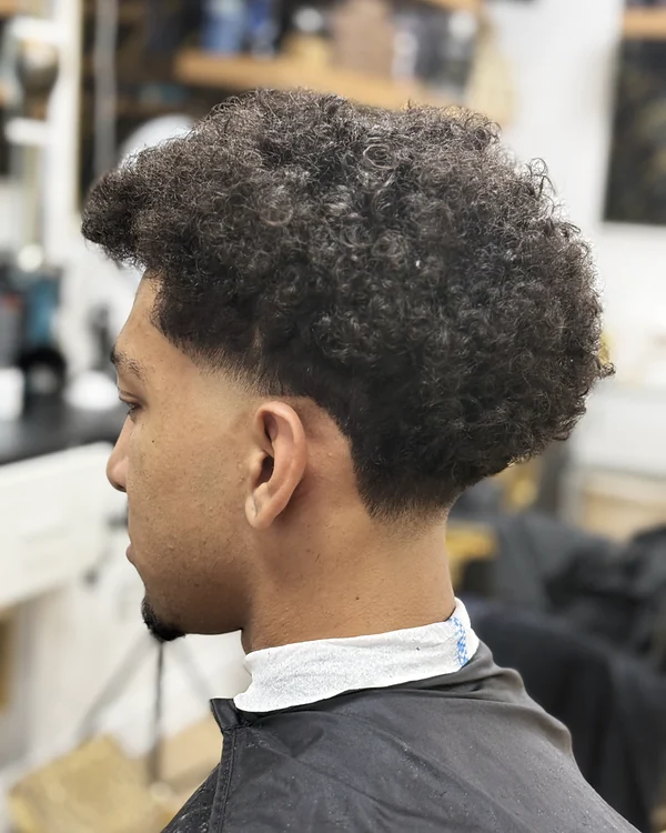 Curly top with taper fade at Probarber, Mississauga